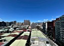中和區-景平路1房1廳，17.4坪