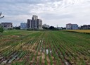 竹北市-土地，951.4坪