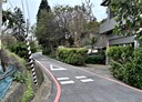 觀音區-土地,98.2坪