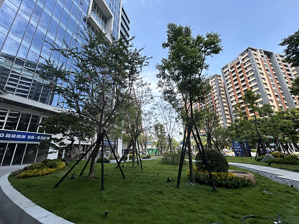 照片