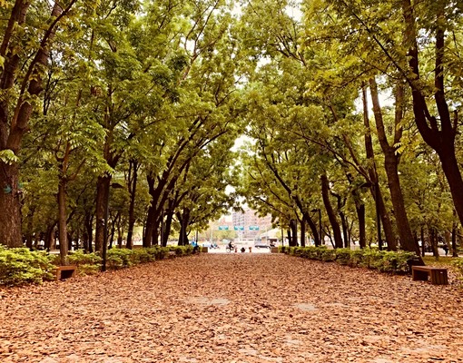 楠梓都會公園高樓層景觀四房車位 - Image 15