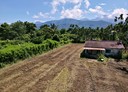 內埔鄉-土地，1152.5坪