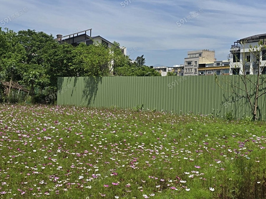 公園自在NO.5實景圖