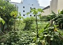 竹北市-東華段土地，220.4坪