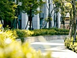 實景圖(8)
