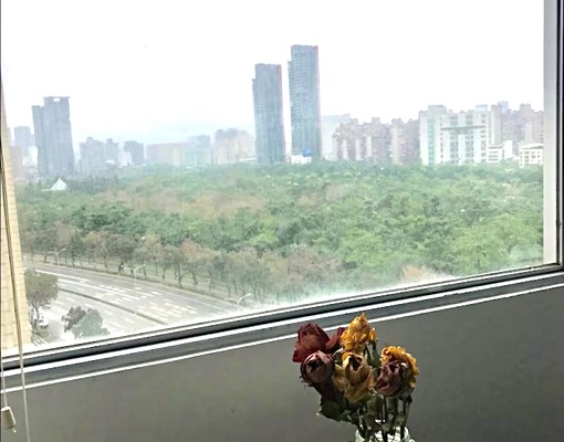 高樓層景觀/面森林公園/三房兩衛/住辦皆宜(租補可/短月租可 - Image 8
