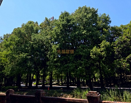 兆基社會住宅🏡羅東套房近運動公園-可租補請加Line - Image 9