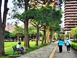 環境圖(7)