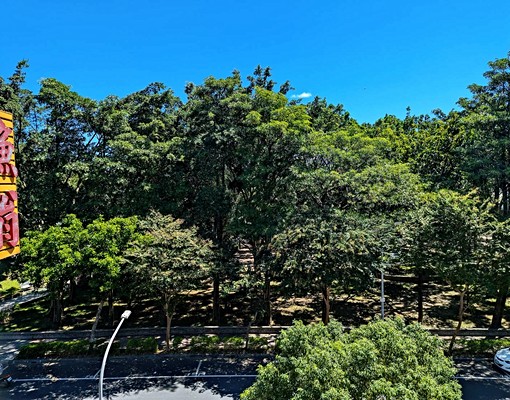 3房屋況採光俱佳生活便利公園綠地好居家 - Image 6