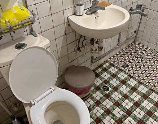 可補助/小寵/入戶口 - Image 3