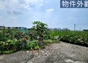 大甲區-土地，514.8坪