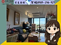 文化三路一段447巷A9立軒天..