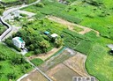 金山區-聖德段土地，318坪