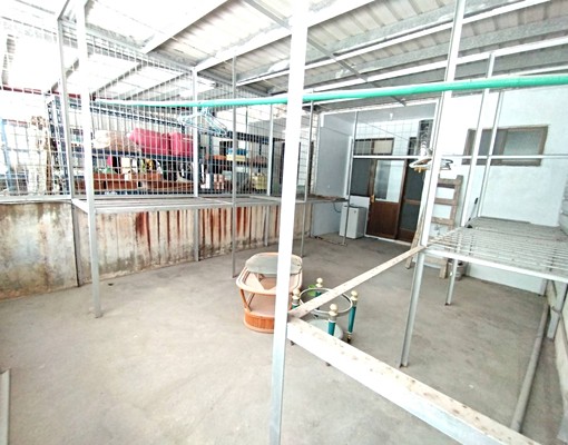 近梅珍香全新整理大套房分租 - Image 9