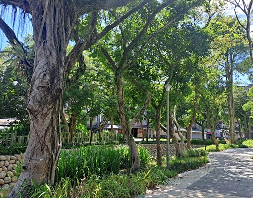 歡迎青年揪伴合租，近中研院、生技園區、南軟/歡迎租金補貼入籍 - Image 21