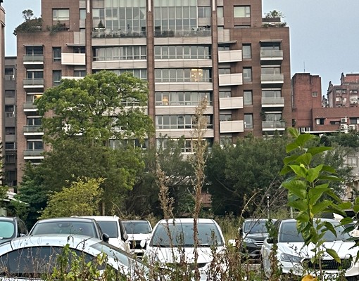大安森林公園方正格局 - Image 10