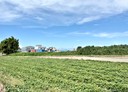 五結鄉-土地，296.9坪