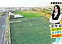 官田區-土地，229.1坪