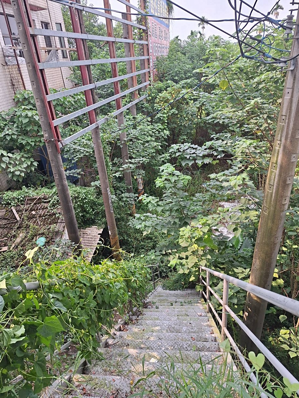 照片