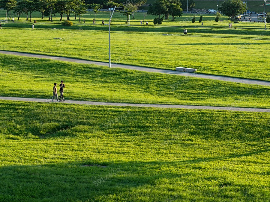 印象左岸環境圖