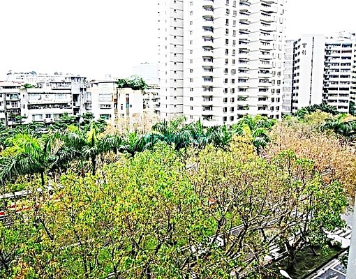 忠孝敦化信義安和捷運⚡近仁愛圓環高樓採光2房可住辦全天管理 - Image 7