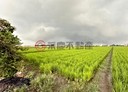 莿桐鄉-土地，613.8坪