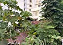 吉安鄉-東里四街土地，118.3坪