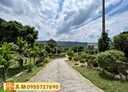 新埔鎮-照鏡段土地，2361坪