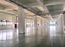 桃園區-國際路一段廠房，5176.4坪