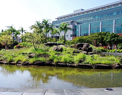 夢幻逸品電梯雅房✨四號公園旁✨共生宅免仲介費 - Image 1