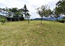 竹東鎮-燥樹排農路土地，459.2坪