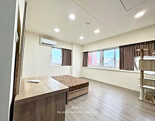 🚇民權西路💰可雙租補、報稅🐶可寵🗑️垃圾代收 - Image 4