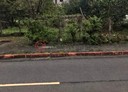 淡水區-土地，156.7坪