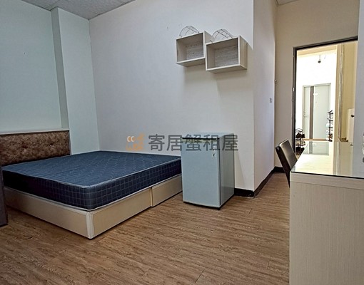 2.寄居蟹🏠北區學生護理人員優惠可租補寵 - Image 1