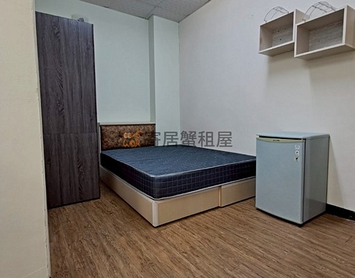 2.寄居蟹🏠北區學生護理人員優惠可租補寵 - Image 3