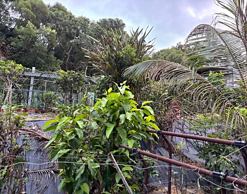 柴橋路117巷市區套房出租 - Image 6