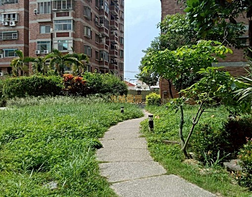 兆基社會住宅🏠可租補/安靜明亮/可寵可拜拜 - Image 13