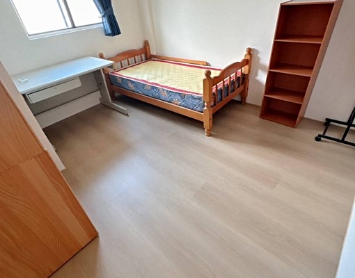 ✨頂溪捷運站｜耕莘醫院✨｜網溪國小頂加✨寵貓可✨ - Image 7