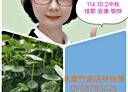 淡水區-民族路2房2廳，26.3坪