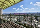 新莊區-幸福路3房3廳，93.5坪