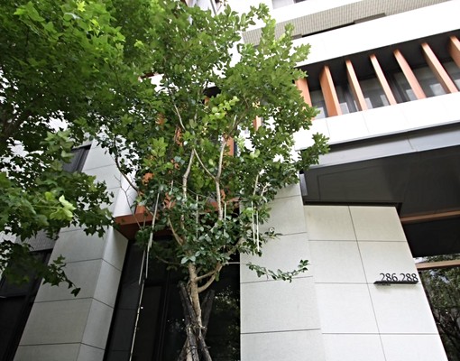 優質社區/預算友好❄大三房平車❄太順路 - Image 14