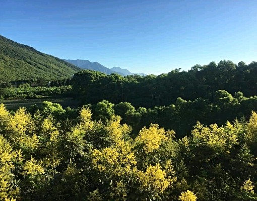 東華新世紀樓中樓美寓專為小家庭打造 - Image 12