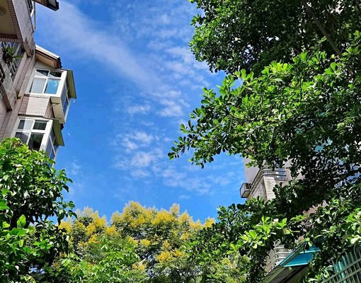 志學新邨稀少邊間大餐廳 - Image 13