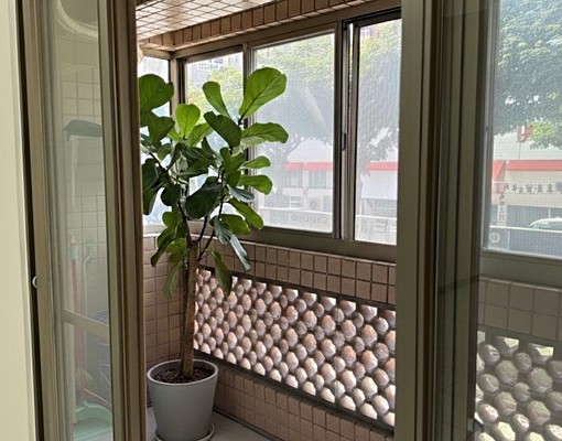 🌳臻致雅居🌳土城電梯華廈⚡️可租補⚡ - Image 10