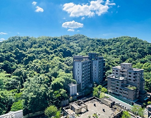 可租補可寵～再興春天樹海景觀2房車 - Image 3
