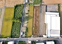 大村鄉-大崙二巷土地，447.6坪