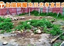龜山區-大坑路二段土地，93.7坪