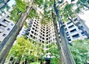 東區-進化路2房2廳，34.7坪