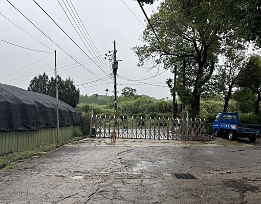 楊梅區小套房(可當倉庫),前有廣場可停車 - Image 5