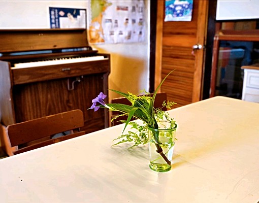 頭城有機書店文旅 - Image 14